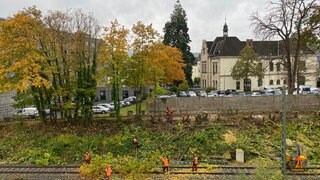 In Ahrweiler haben Arbeiter im Auftrag der Bahn Bäume an den Gleisen gefällt. Die Kreisverwaltung hat die Arbeiten gestoppt, denn eine Genehmigung lag noch nicht vor.