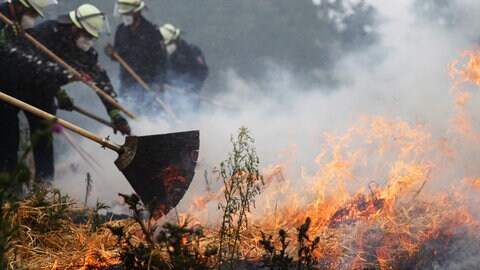 Mit der Feuerpatsche