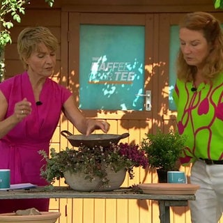 Moderatorin Evelin König und Gartenbauingenieurin Heike Boomgarden