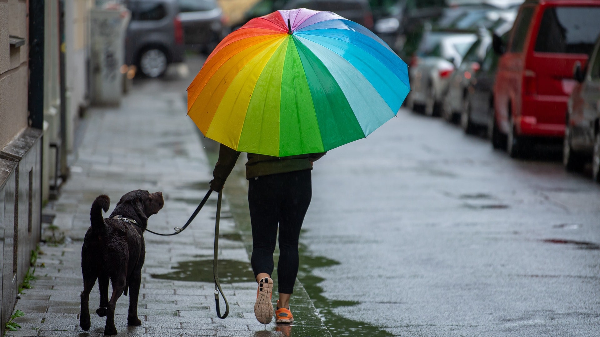 Sehr viel Regen am Wochenende in Baden-Württemberg