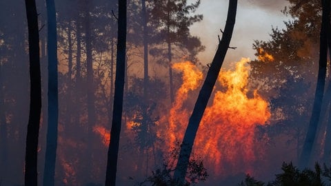 Ein Waldbrand breitet sich im Westen Frankreichs aus.