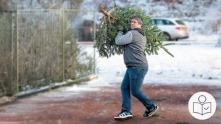 Ein Teilnehmer wirft einen Weihnachts·baum bei dem 18. Wettkampf im Weihnachts·baum·werfen in Weidenthal. Dieses Jahr gab es einen neuen Welt·rekord. Rechts das SWR Logo für Leichte Sprache.