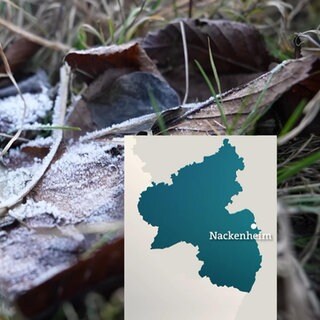 Rheinland-Pfalz Wetter vom 19.2.2025
