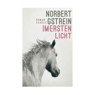 Cover des Buches: Norbert Gstrein Im ersten Licht