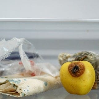 Vergammelte Lebensmittel in einem Gemüsefach im Kühlschrank
