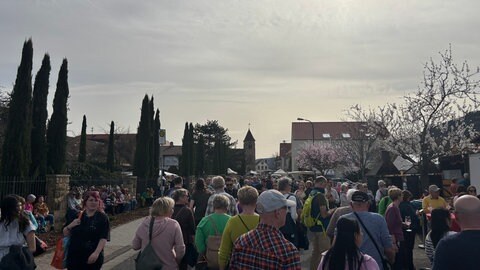 Gimmeldinger Mandelblütenfest