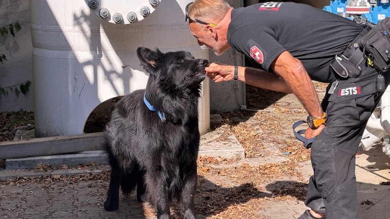 Der Altdeutscher Schäferhund Shadow wird für seinen erfolgreichen Sprengstoff-Fund von Herrchen René Michelotti mit einem Leckerli belohnt.