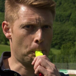 Schiedsrichter Christian Dingert trillert die Pfeife