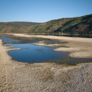 Niedrigwasser im Rhein: In Koblenz beraten Fachleute und Rheinanlieger über neue Strategien.