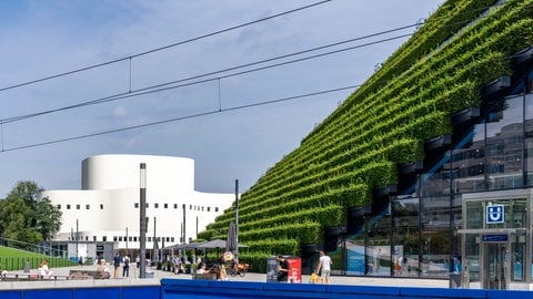 Eine grüne Fassade in Düsseldorf, die aus über 30.000 Hainbuchen besteht und gut 8 Kilometer lange ist. Wie können sich Städte an Hitze anpassen, wie sehen klimaangepasste Gebäude und Quartiere aus? Das erforscht Prof. Lamia Messari-Becker. Sie ist zu Gast in SWR1 Leute.