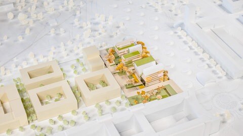 Der Entwurf verbindet Gebäude und Grünflächen miteinander.