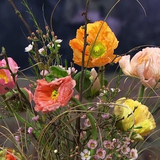 Lang gebundener Strauß mit Islandmohn