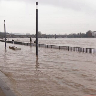 Hochwasser am Rhein