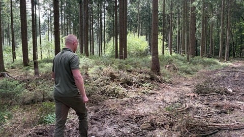 Lukas Maaß geht der Zukunft des Waldes entgegen. Er sagt, niemand könne in die Glaskugel gucken, aber man könne so gut wie möglich dafür sorgen, den Wald gut aufzustellen.