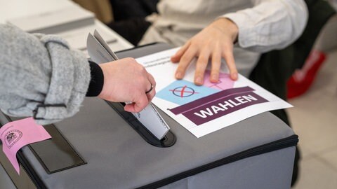 Die CDU hat alle Wahlkreise in der Region Trier gewonnen. Sieben Politikerinnen und Politiker vertreten die Region künftig im Bundestag. 