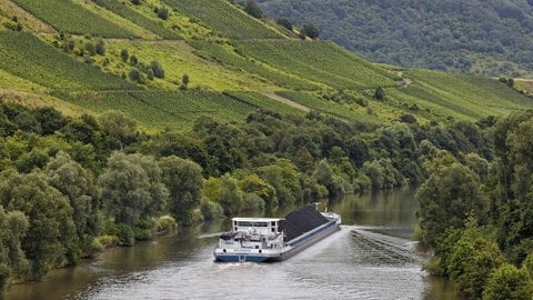 Saar bei Konz in Rheinland-Pfalz: Nach dem Zweiten Weltkrieg sollten das Saarland und Rheinland-Pfalz ein gemeinsames Bundesland bilden. Das war zumindest der Plan der amerikanischen Besatzungsmacht.