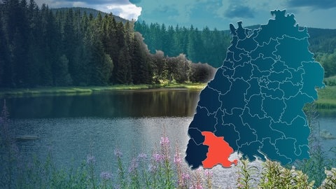 Symbolbild Wahlkreis 288 Waldshut, Bundestagswahl 2025