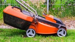 Nachbarschaftslärm durch Rasenmäher: Hier ist ein orangefarbener Rasenmäher in Großaufnahme zu sehen, der auf einem Rasen steht.