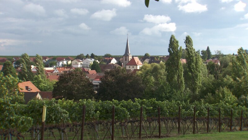 Bissersheim - Ortsansicht