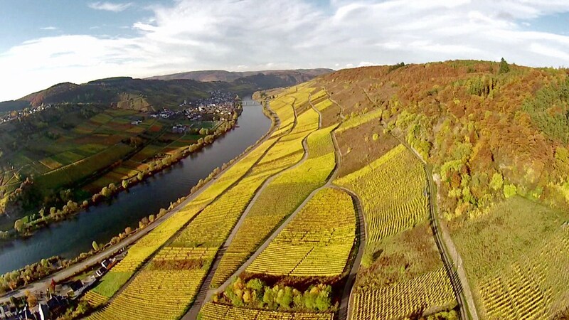 Weinberge
