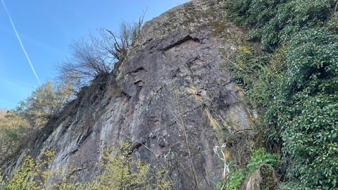 Einer der sechs Felsen, die ab nächstem Jahr in Neuerburg erklettert werden können. 