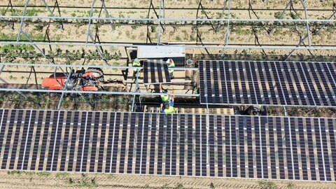Arbeiter installieren Solarpanele für die große Agri-PV-Anlage in Kressbronn