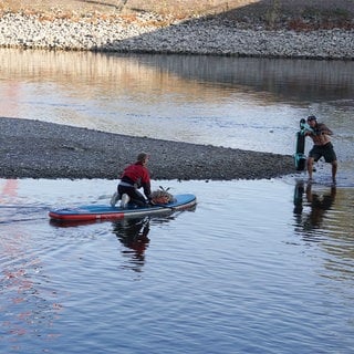 Ein Umweltschützer zieht einen E-Scooter bei Niedrigwasser aus dem Neckar. Eine weitere Freiwillige kommt mit dem Stand Up Paddle-Board angefahren, um den Roller aufzuladen.