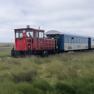 Die Inselbahn benötigt rund 15 Minuten für die Fahrt vom Fähranleger zum Bahnhof Wangerooge. Die Fahrt geht dabei hauptsächlich durchs Naturschutzgebiet. Einzig der Zug darf hier das Naturschutzgebiet „betreten.“