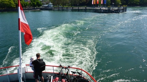 Ein Motorschiff verlässt einen Anlegesteg am Bodensee und wirbelt kräftig Wasser auf. Das belastet die Ökologie der Uferzonen.