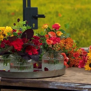 Sommerblumen