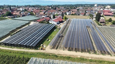 Alte (links) und neue Agri-PV-Anlage in Kressbronn am Bodensee