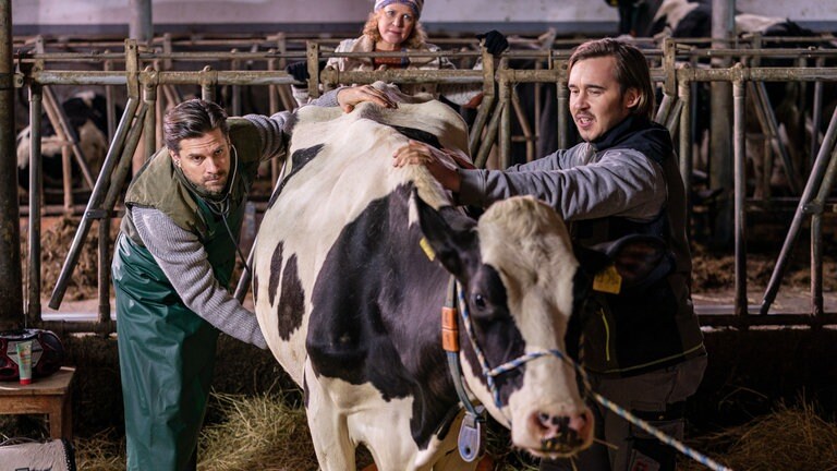Andreas, Bea und Sebastian bei einer kalbenden Kuh im Stall