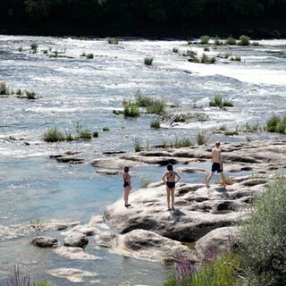 Drei Badende an den Isteiner Schwellen am Altrhein bei Efringen-Kirchen. Obwohl baden verboten ist, wird der Rhein hier an heißen Tagen zum öffentlichen Freibad. 