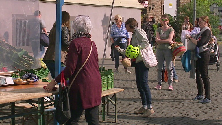 HZL Ehrenbreitstein, Markt
