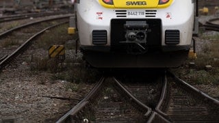 Ein Zug des Bahnunternehmens SWEG fährt auf dem Gleisvorfeld eines Hauptbahnhofs (Symbolbild).