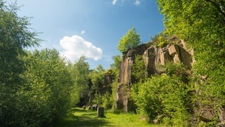 Checken Sie Ihren Wahlkreis im Wahlkreis-Check zur Landtagswahl 2021 in Rheinland-Pfalz