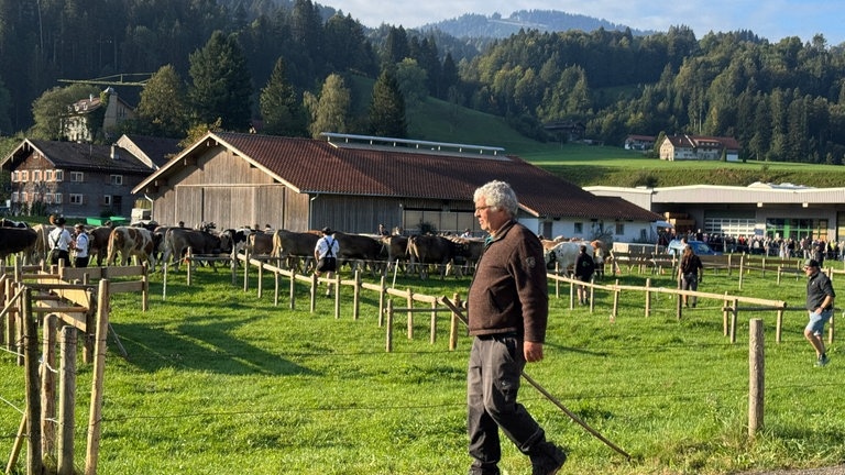 Viehscheid in Oberstaufen