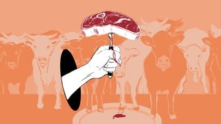 Das Tier und Wir: Tiere essen?