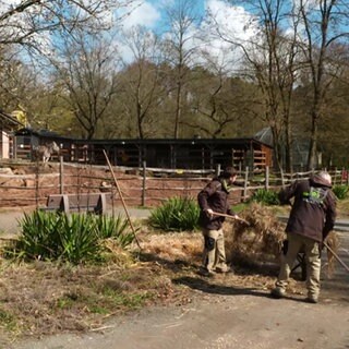 Frühjahrsputz im Zoo Kaiserslautern