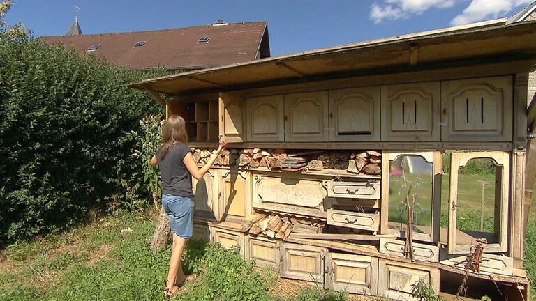 hzl-reckenroth-insektenhotel