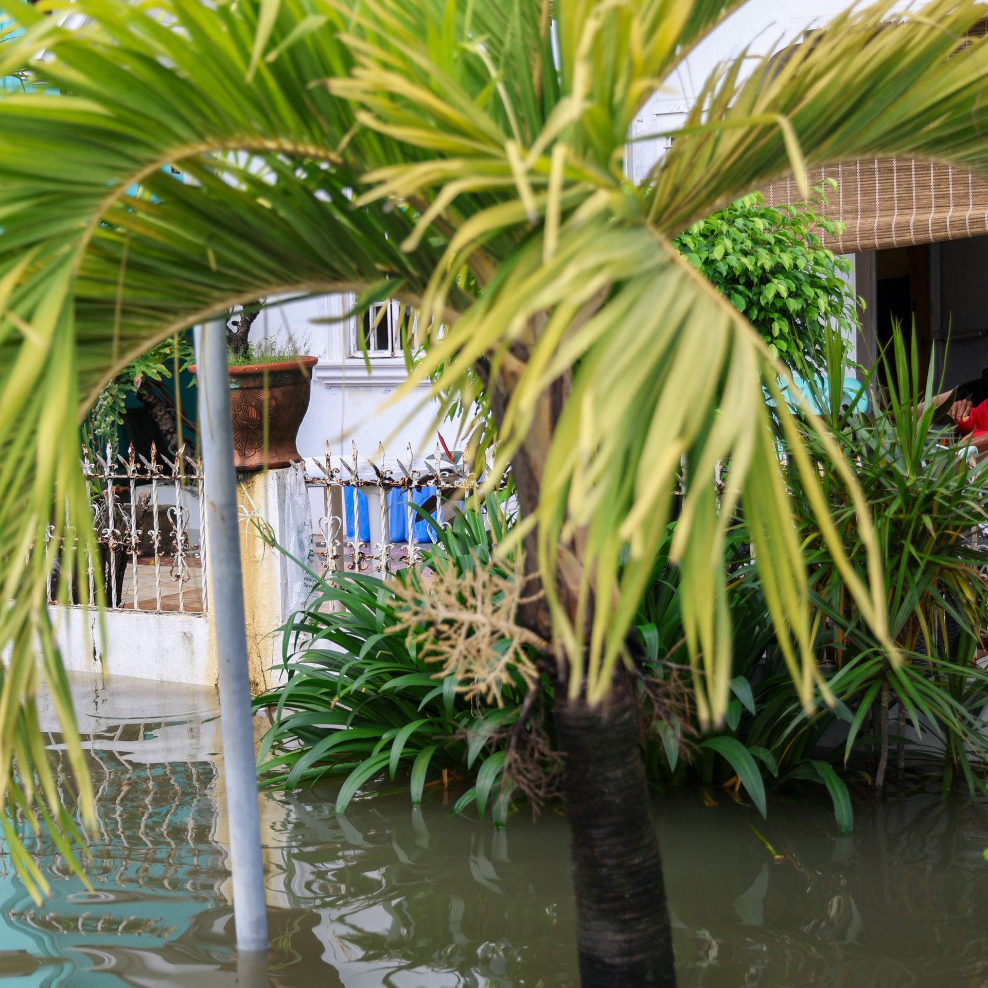 Angst vor Dürre, Hitze und Überschwemmung: Was bedeutet der „Super El Nino“ für das südliche Afrika und Indonesien?