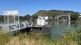 Viele Anleger an der Mosel sind derzeit frei, weil keine Kreuzfahrtschiffe anlegen - so wie hier in Traben-Trarbach. 