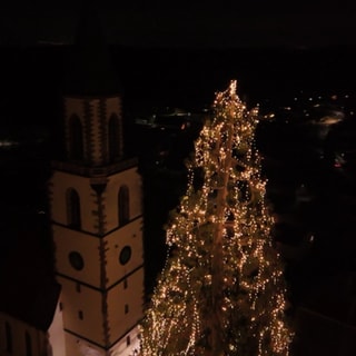 Ein 36,4 Meter hoher Riesenmammutbaum in Eichsel, festlich geschmückt und beleuchtet.