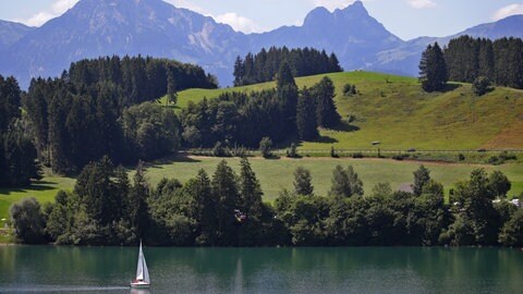 Segelboot auf dem Forggensee in Bayern vor dem Panorama der Alpen