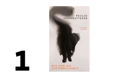 Cover: Mio und die Unsterblichkeit