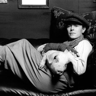 David Bowie