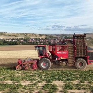 Rübenerntemaschine fährt über den Acker