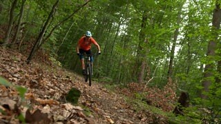 Biker auf einem Mountainbike-Trail bei Eberstadt (Archivbild). Ein Mann soll dort über die Strecke Drähte gespannt haben.