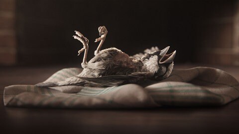 Ein Spatz liegt auf dem Rücken auf einem Tuch – Szene aus dem Animationsfilm „A Sparrow's Song“ von Tobias Eckerlin, der den Annie Award 2026 gewonnen hat