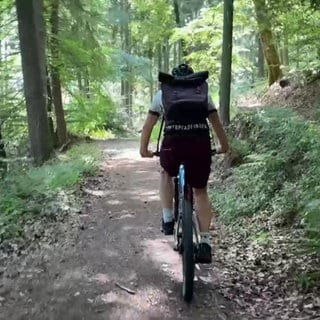 Ein Mountainbiker im Wald